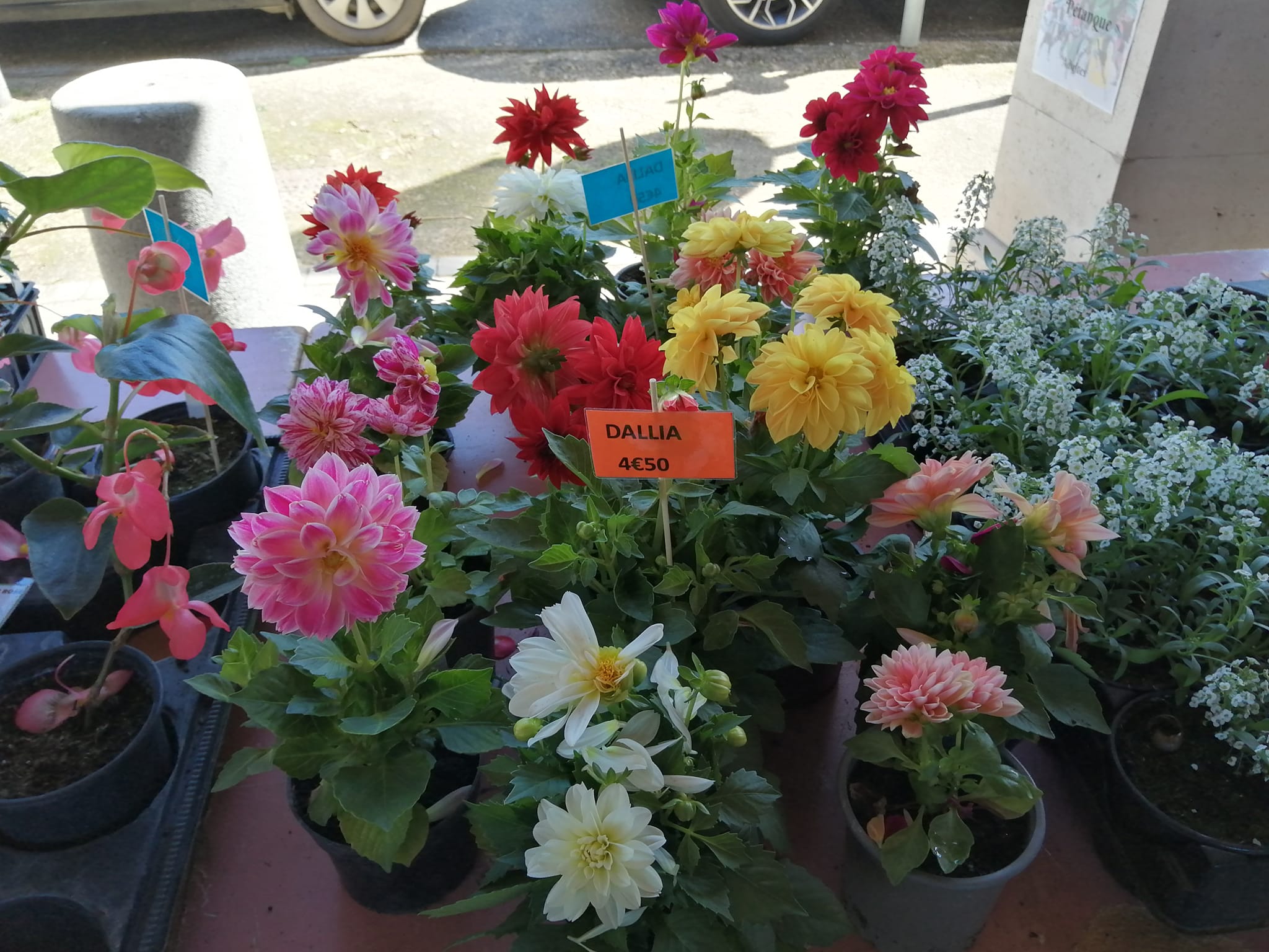 2ème édition de la foire de printemps
