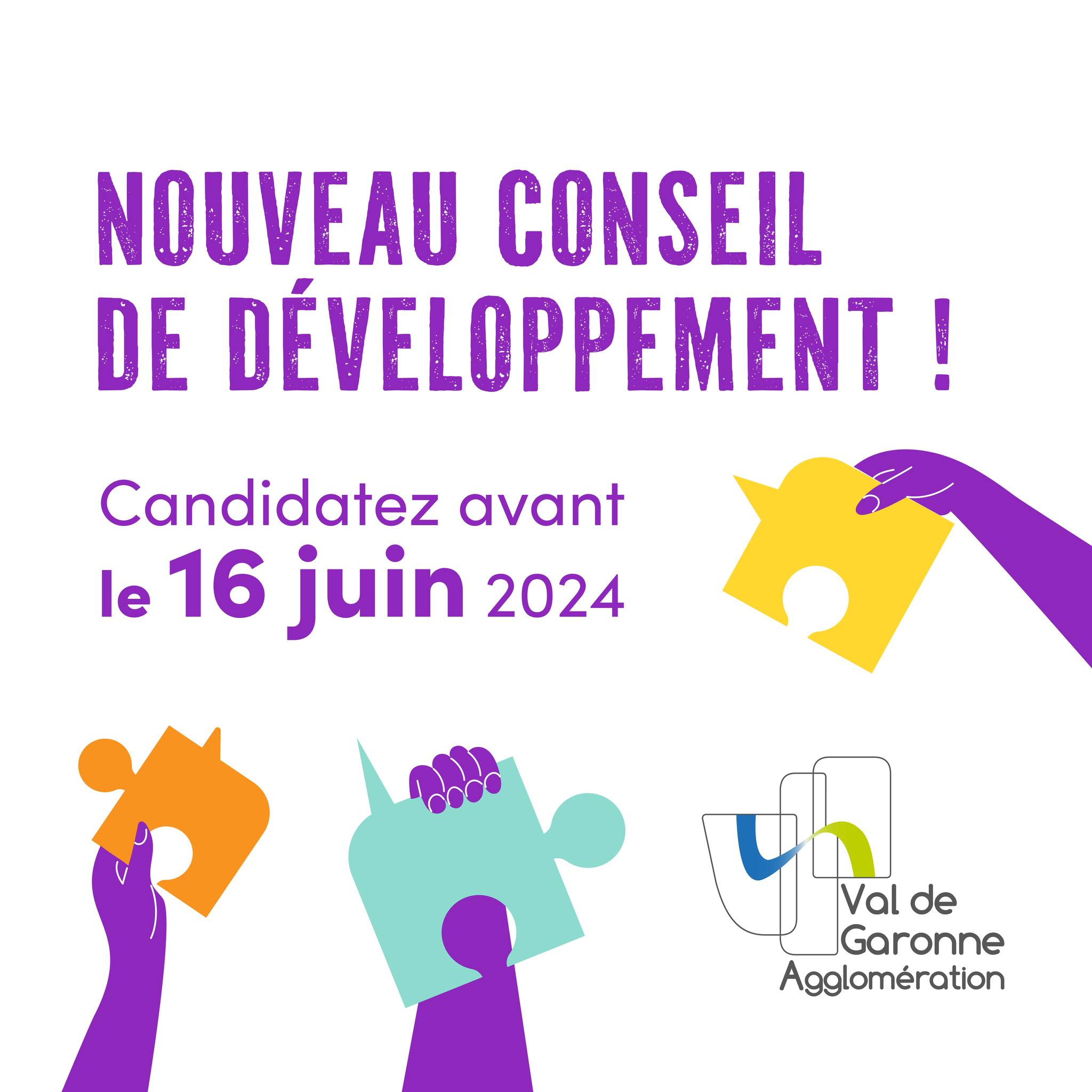 Conseil de développement
