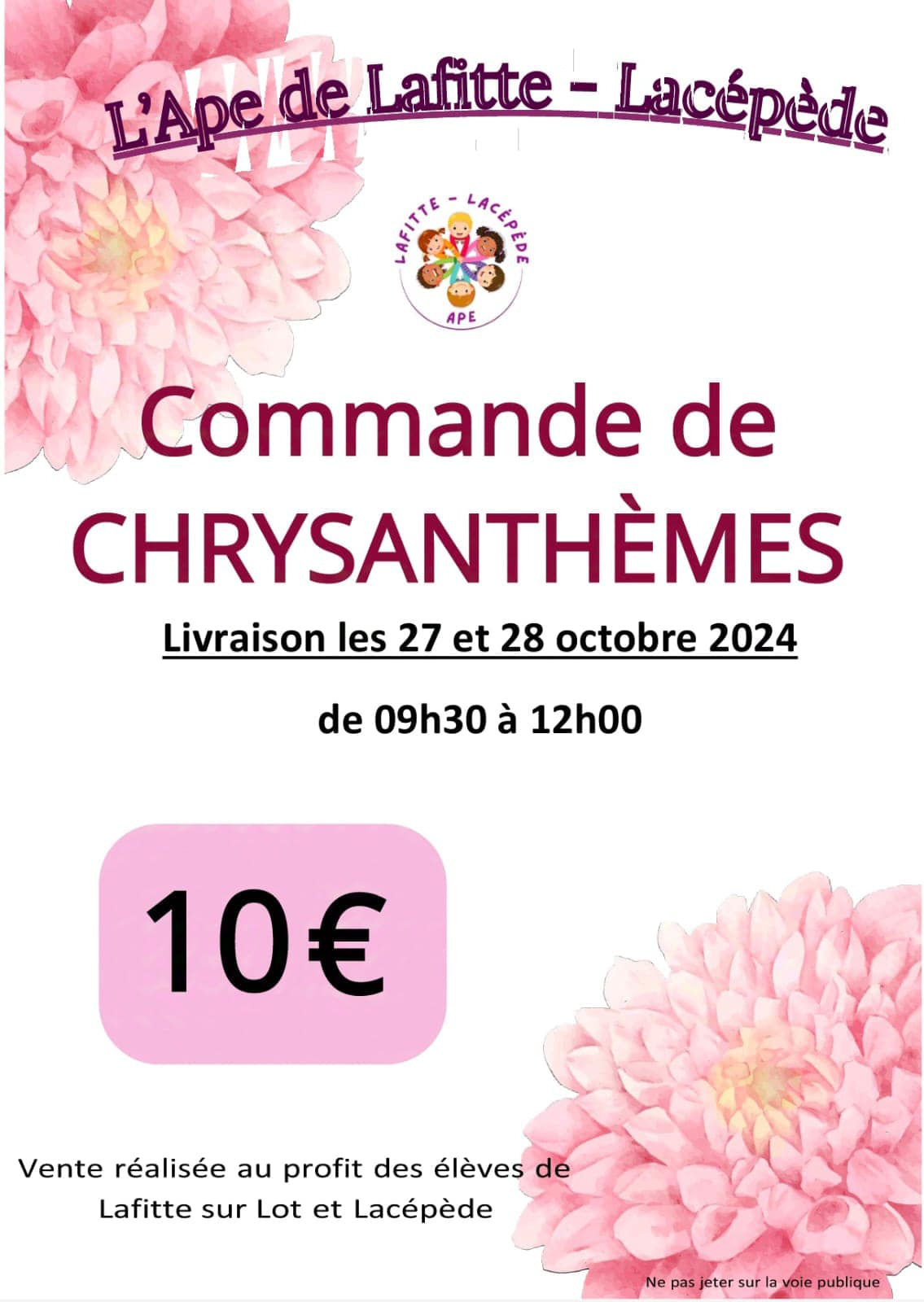 Vente de chrysanthèmes