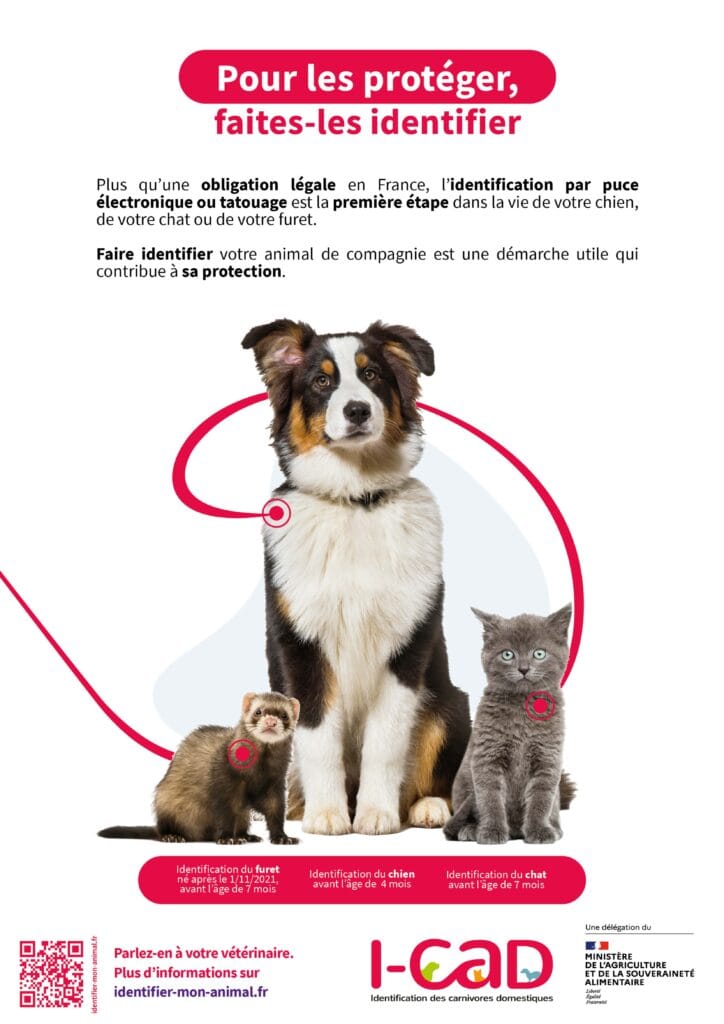 STÉRILISATION ET IDENTIFICATION DES ANIMAUX DOMESTIQUES